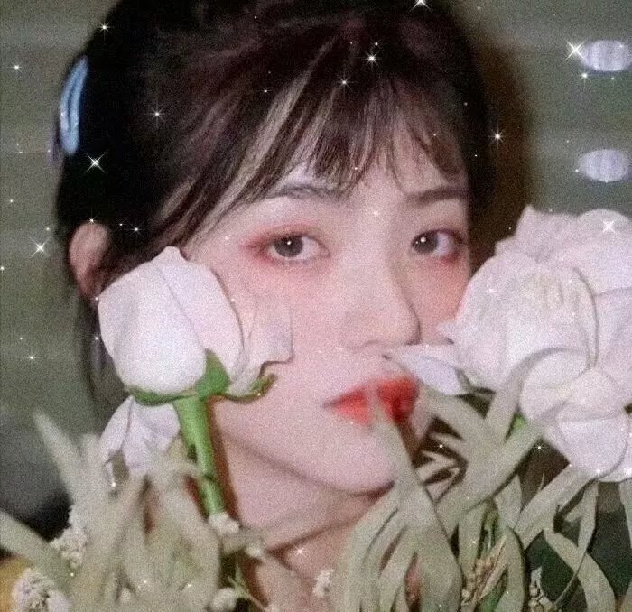 歌舞青春