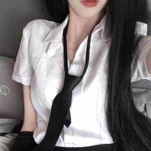 所有国王的部下